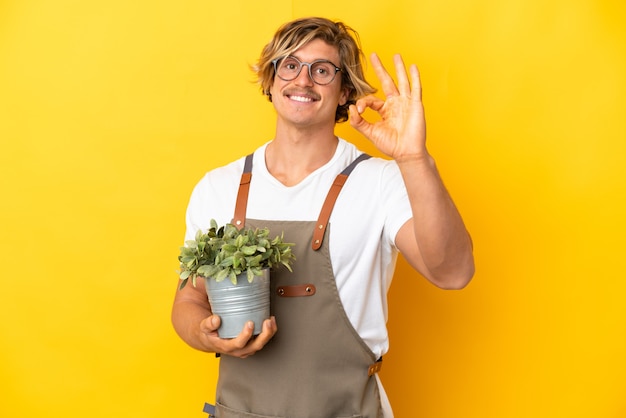 Uomo biondo del giardiniere che tiene una pianta isolata sulla parete gialla che mostra segno giusto con le dita