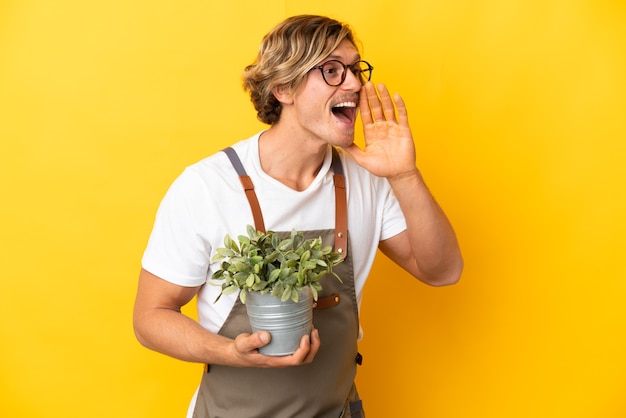 Uomo biondo del giardiniere che tiene una pianta isolata