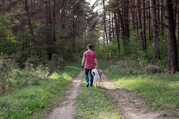 Uomo caucasico che cammina un cane nella foresta di estate