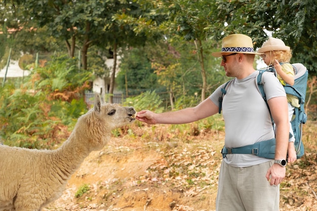 Uomo caucasico che porta il bambino nello zaino turisti che indossano cappelli da sole in visita allo zoo o alla fattoria di alimentazione animale alpacawild Famiglia tempo libero spendendoFaunawildlife learning