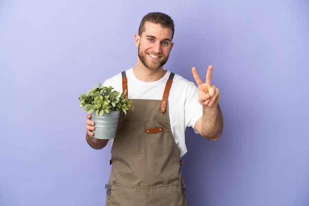 Uomo caucasico del giardiniere che tiene una pianta isolata sulla parete gialla che sorride e che mostra il segno di vittoria