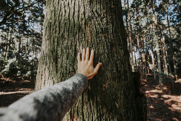 Uomo che abbraccia la corteccia di albero