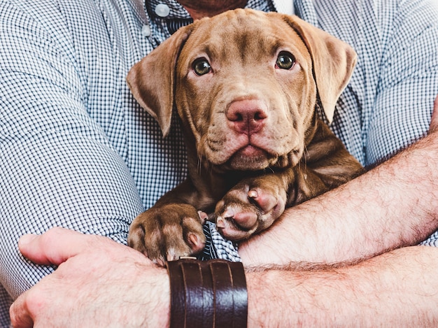 Uomo che abbraccia un cucciolo affascinante