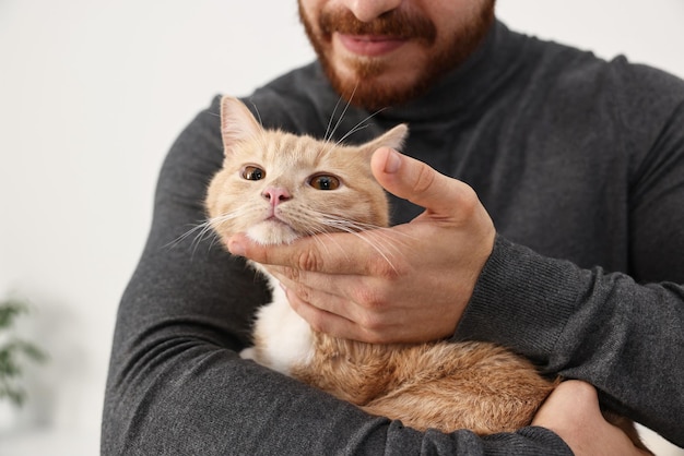 Uomo che accarezza un gatto rosso carino a casa da vicino