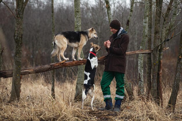 Uomo che addestra cani di razza mista al prato di autunno