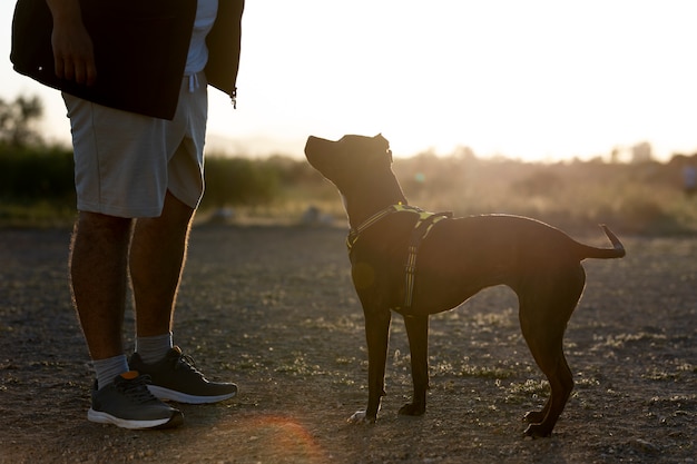 Uomo che addestra il suo cane all'aperto al tramonto