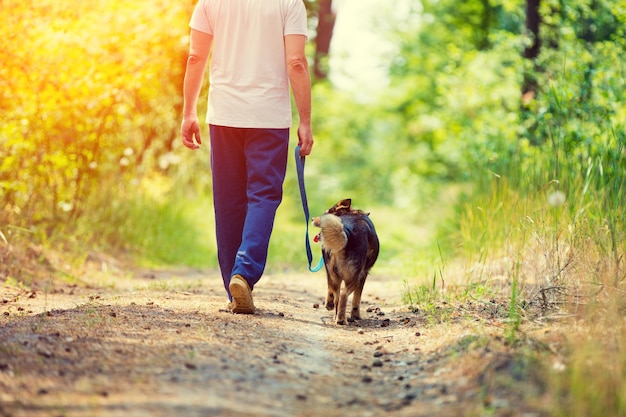 Uomo che cammina con un cane su strada sterrata in estate