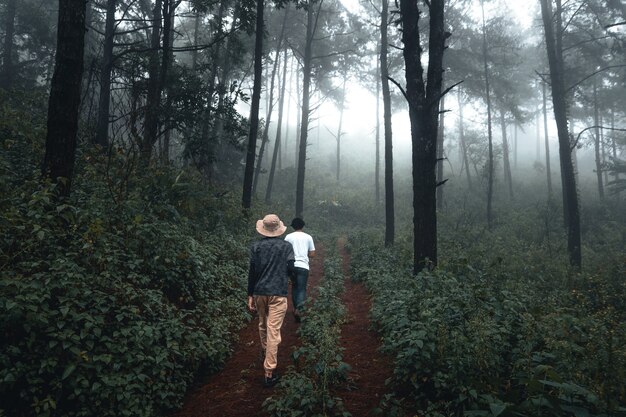 Uomo che cammina nella foresta nella stagione delle piogge