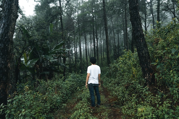 Uomo che cammina nella foresta nella stagione delle piogge