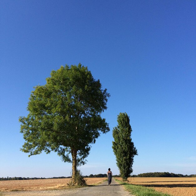 Uomo che cammina sul campo contro un cielo blu limpido