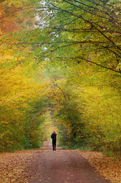 Uomo che cammina sul sentiero naturale. Giovane che cammina nella sosta di autunno. Strada la sera nel tramonto autunnale. Un uomo in viaggio nella foresta d'autunno.