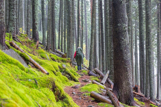 Uomo che fa un'escursione baia il sentiero nella foresta