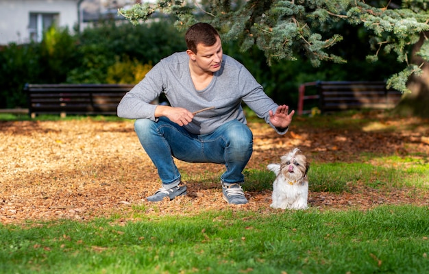 uomo che gioca con shih tzu cucciolo all'aperto, addestramento del cane nel parco