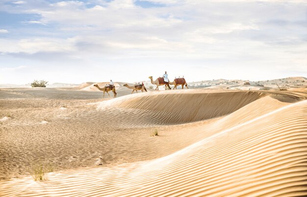 Uomo che indossa abiti tradizionali, prendendo un cammello sulla sabbia del deserto, a Dubai