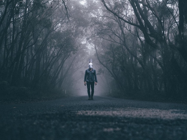 Uomo che indossa una maschera da coniglio sulla strada della foresta
