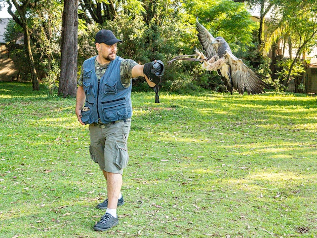 Uomo che pratica la falconeria con la poiana dal pettonero