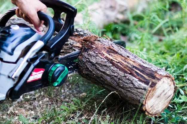 uomo che taglia alberi usando una motosega elettrica e strumenti professionali