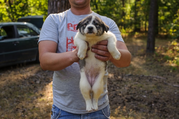 Uomo che tiene un cucciolo carino nella foresta