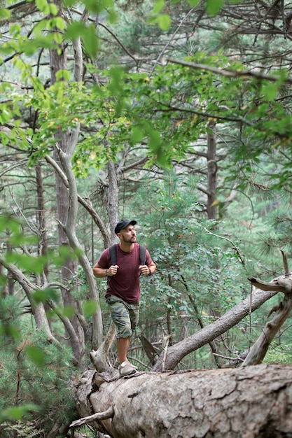 uomo che viaggia nella foresta in montagna