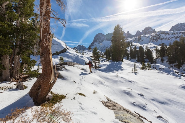 Uomo con attrezzatura per escursioni a piedi nelle montagne della Sierra Nevada, California, Stati Uniti