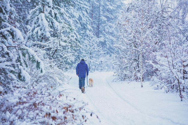 Uomo con cane e gatto che cammina in una pineta innevata in inverno