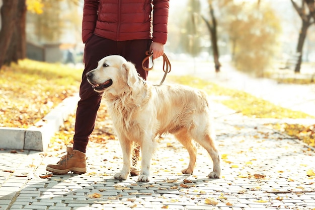 Uomo con divertente labrador retriever nel bellissimo parco autunnale