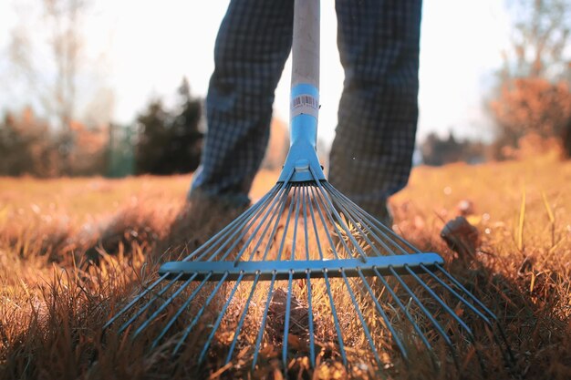 Uomo con i rastrelli in erba vecchia di autunno