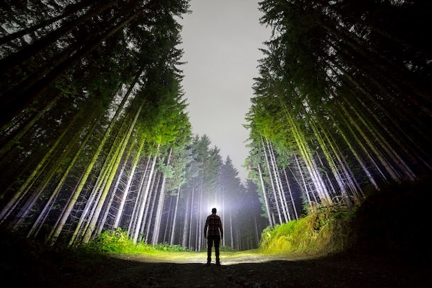 Uomo con la torcia elettrica capo che sta sul sentiero forestale fra gli abeti alti sotto il cielo notturno blu scuro.