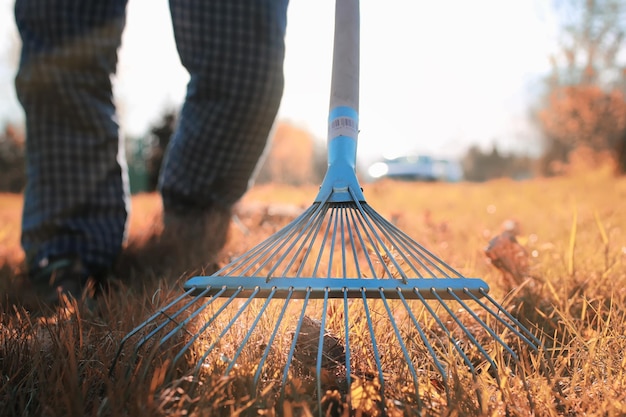 Uomo con rastrelli nell'erba vecchia autunnale