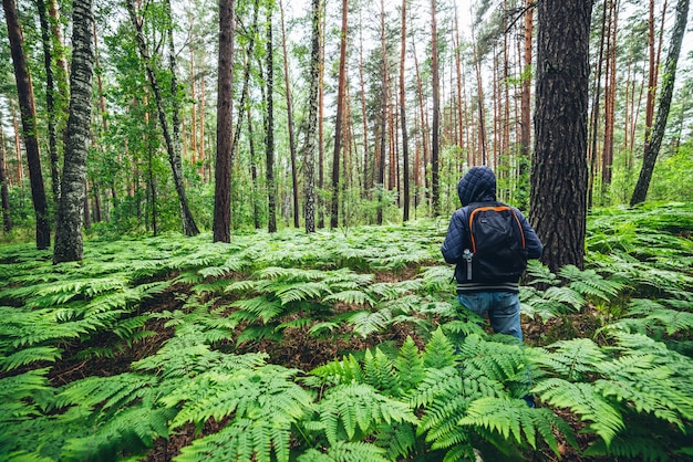 Uomo con zaino nella foresta.