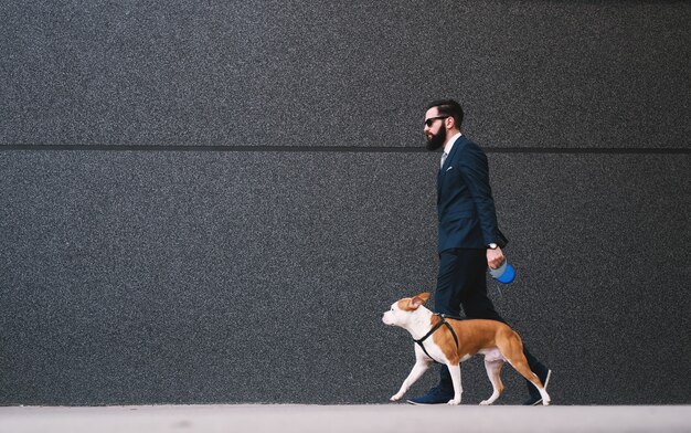 Uomo d'affari che cammina cane in strada.