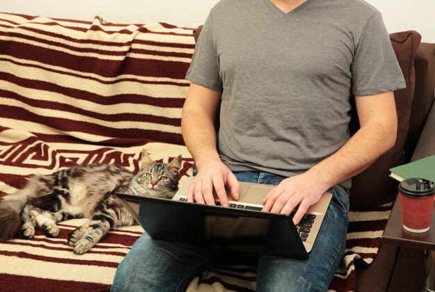 Uomo d'affari e gatto che lavorano a casa con un computer portatile sul divano.