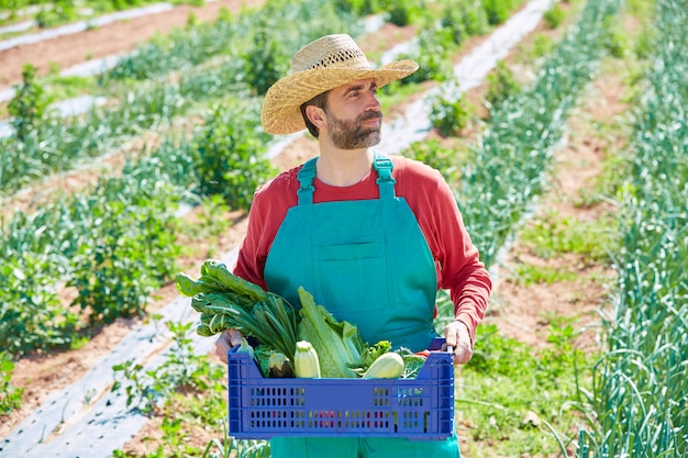 Uomo del coltivatore che raccoglie le verdure in frutteto