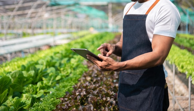 Uomo del coltivatore che utilizza il computer tablet digitale nell'applicazione della tecnologia sul campo nell'attività di coltivazione agricola