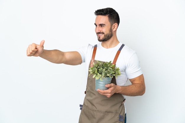 Uomo del giardiniere che tiene una pianta isolata su fondo bianco che dà un pollice in alto gesto