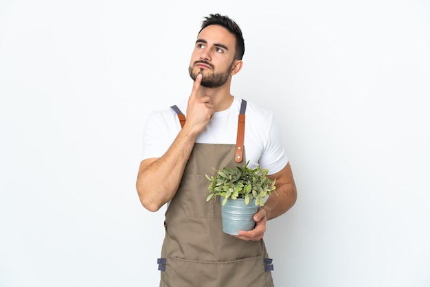 Uomo del giardiniere che tiene una pianta isolata su priorità bassa bianca che ha dubbi mentre osserva in su