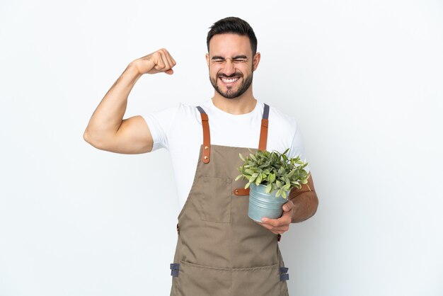 Uomo del giardiniere che tiene una pianta isolata sulla parete bianca che fa forte gesto