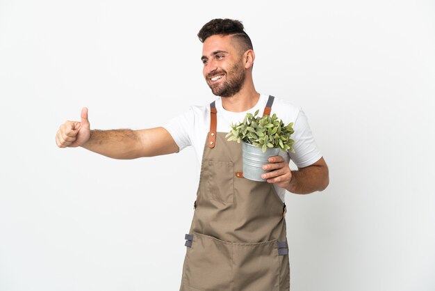 Uomo del giardiniere che tiene una pianta sopra bianco isolato che dà un pollice in alto gesto