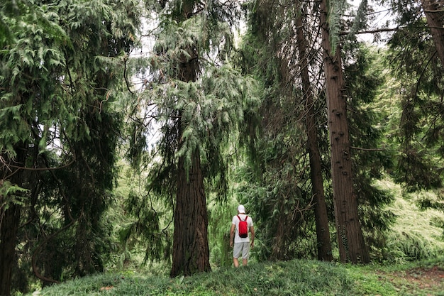 Uomo del viaggiatore con lo zaino che cammina nella foresta