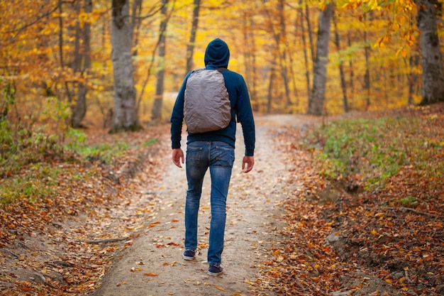 Uomo del viaggiatore nella strada forestale