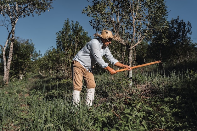 Uomo dell'azienda agricola che lavora sulla terra.