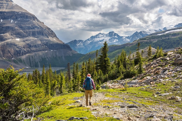 Uomo di escursionismo nelle montagne canadesi.