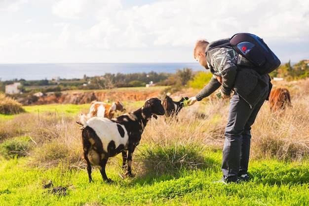 Uomo e agnello o capra nel prato.