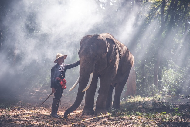 Uomo ed il suo elefante in Tailandia del Nord