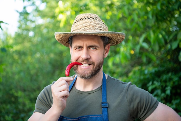 Uomo fruttivendolo in cappello di paglia con peperoncino vegetale