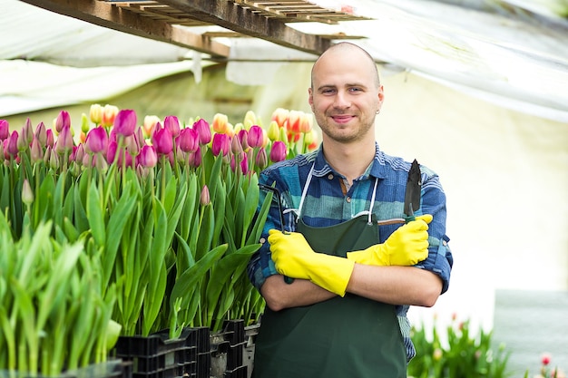 Uomo giardiniere con attrezzi da giardino in serraFiorai uomo che lavora con fiori in serra Primavera un sacco di tulipanifiori concettoColtivazione industriale di fiori