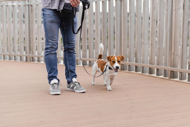 Uomo in abiti casual che cammina per strada con un adorabile cane jack russell terrier