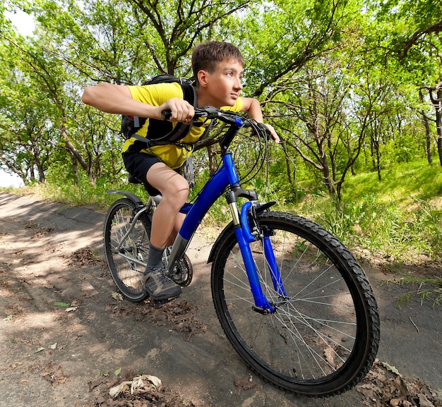 Uomo in bicicletta che viaggia nella foresta