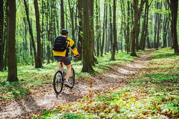 Uomo in bicicletta nella foresta in un giorno d'estate