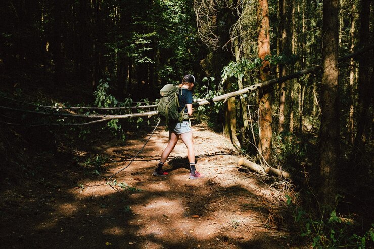Foto uomo in piedi vicino a un albero nella foresta